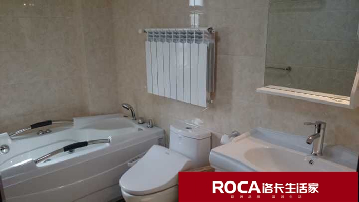 \南京進(jìn)口暖氣片壁掛爐 明裝暖氣片 中央凈水